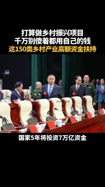 打算做乡村振兴项目，千万别傻着都用自己的钱来做 150乡村振兴产业项目资金扶持#乡村振兴 #乡村产业 #补贴 #乡村振兴dou行动 #扶持
