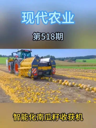 智能化南瓜籽收获机 #服务三农支持三农 #现代农业机械 #抖音助农 #农业种植 #助农