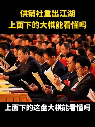 供销社重出江湖上面下的大棋能看懂吗#乡村振兴#乡村扶持政策 #供销社#休闲农业 #家庭农场