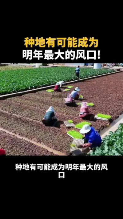 种地有可能成为明年最大的风口！！ #乡村振兴 #种地 #农村 #补贴 #乡村产业