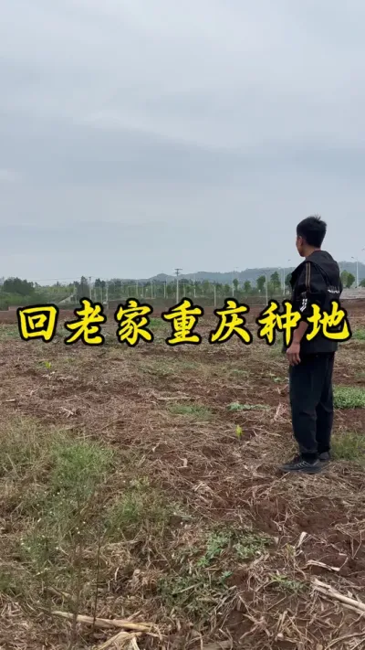 回老家种地半年了，经历了很多，其中的辛酸只有自己知道！#返乡创业新农人 #记录我的种植生活