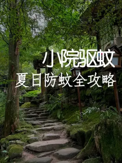 6招搞定农场蚊虫！游客都说好 #小院改造 #小院时光 #天雅设计 #景观设计 #干货分享