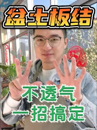 盆土板结不透气，教你一招搞定！ #养花 #土壤板结 #花卉绿植
