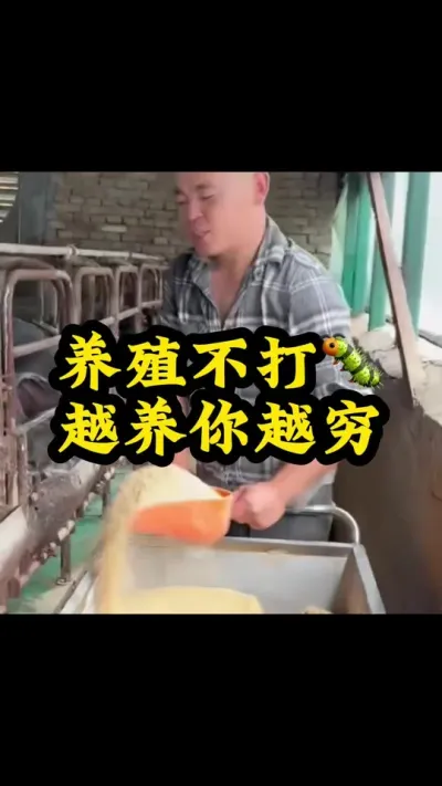 #每天分享养殖技术和经验 #猪喂什么饲料长得最快 #喂猪人的日常生活不容易 #服务三农支持三农 #农村人养猪