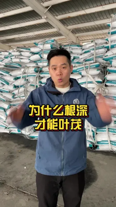 为什么根深才能叶茂？ #棉花种植专家讲座 #肥料新知识 #种植小技巧 @抖音小助手