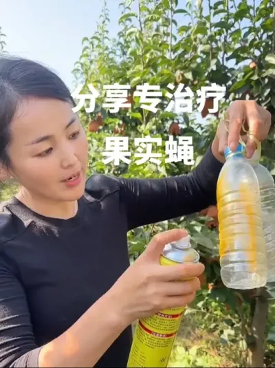 防治果实蝇 叶片喷高氯残残杀威，一瓶200克打500斤水，诱黏剂喷挂树上，双向防治所有果树均可以使用#果园管理 #果实蝇防治