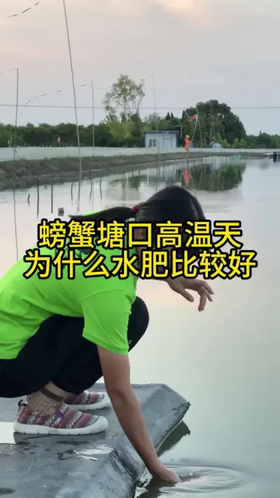 螃蟹塘口高温天为什么水肥比较好！！！ #渔多多养殖模式 #三农 #水产养殖技术 #新农人计划2025
