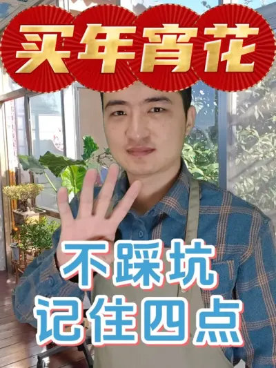 记住这四点，买年宵花少花冤枉钱！ #养花  #买花  #年宵花