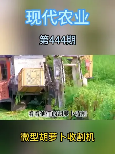 微型胡萝卜收割机 #收割机 #三农 #三农流量扶持计划 #胡萝卜 #农业机械