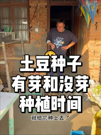 土豆有芽和没芽都什么时候种 #三农 #种植 #农业