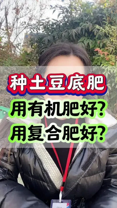 种土豆底肥用复合肥好？用有机肥好？#土豆种植 #马铃薯 #洋芋 #土豆高产种植 #土豆拌种剂
