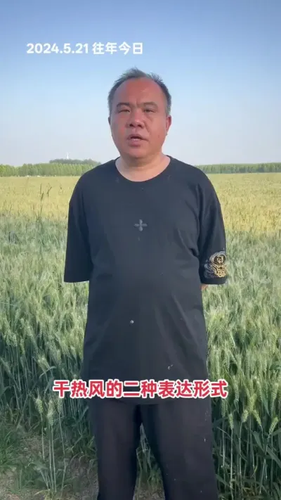 常见干热风摧残小麦。雨后快速升温，形成青枯。都是干热风危害