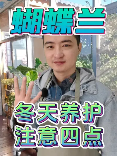 蝴蝶兰冬天养护，一定注意这四点！ #养花  #花卉绿植  #蝴蝶兰
