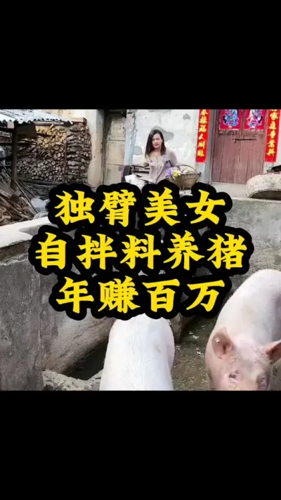 #每天分享养殖技术和经验 #猪喂什么饲料长得最快 #服务三农支持三农 #所有养猪人 #发酵饲料