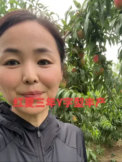 分享果树管理