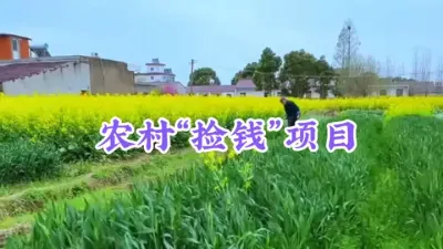 农村&ldquo;捡钱&rdquo;加工，原材料分文不要，加工出来1斤240元 #农村致富好项目 #三农 #农业创业 #农业种植致富项目推荐 #柳芽茶