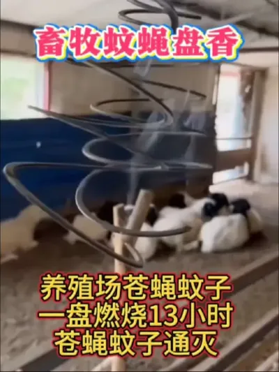畜牧蚊蝇盘香，单盘拉伸不断，蚊蝇通灭，燃烧12-13小时#灭蝇神器 #蚊蝇香 #畜牧蚊蝇香#鸡鸭鹅养殖#三农养殖