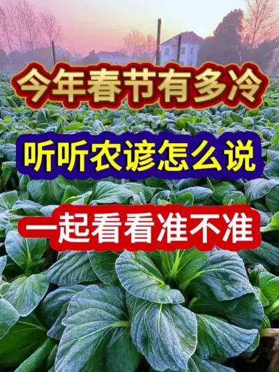 今年春节有多冷听听农谚怎么说一起看看准不准 #农业谚语 #农谚 #农谚老话 #农业种植 #三农