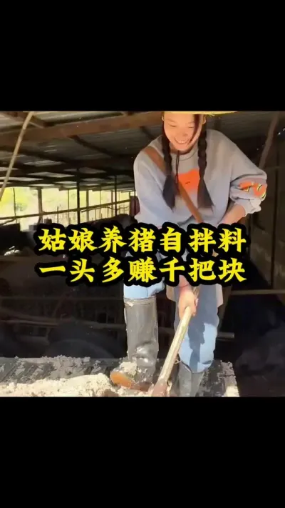 #猪喂什么饲料长得最快 #养猪人加油干 #自繁自养母猪 #养猪人不容易 #所有养猪人