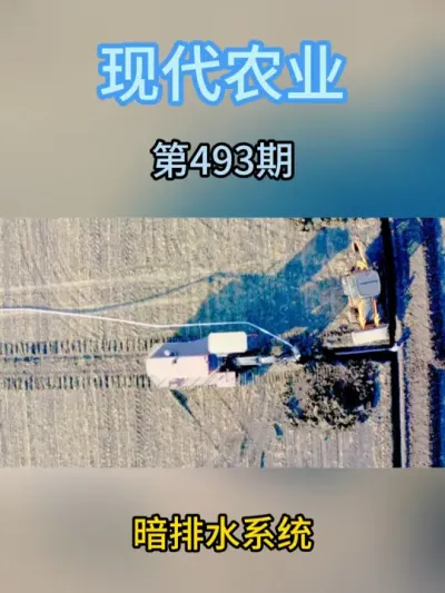 暗排水系统 #排水 #高标准农田 #农田 #排水系统 #农业