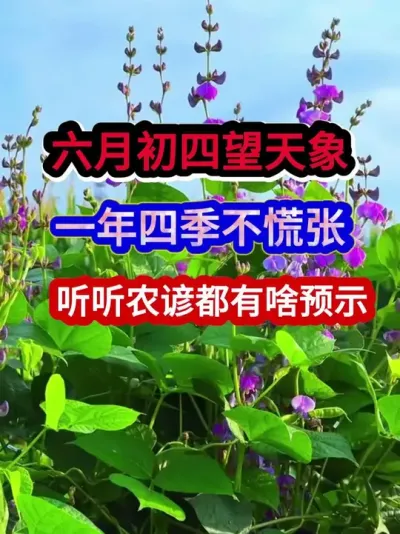 六月初四望天象一年四季不慌张听听农谚都有啥预示 #农业谚语 #农谚 #农谚老话 #农业种植 #三农