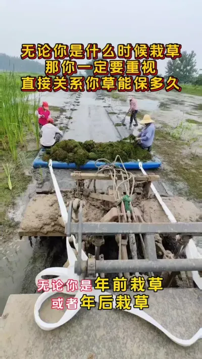 无论你是什么时候栽草，那你一定要重视起来了，这个直接关系但你水草能保多久。#鱼虾蟹养殖 #河蟹养殖 #螃蟹养殖 #大闸蟹养殖 #三农 @DOU+小助手