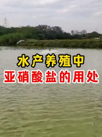#水产养殖 #养鱼日记 #高密度养殖 #养鱼人 #养殖