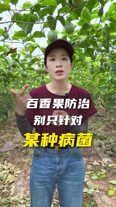 百香果种植过程中一定是防大于治，防患于未然。#百香果 #百香果种植基地 #农业种植技术#农业种植#三农