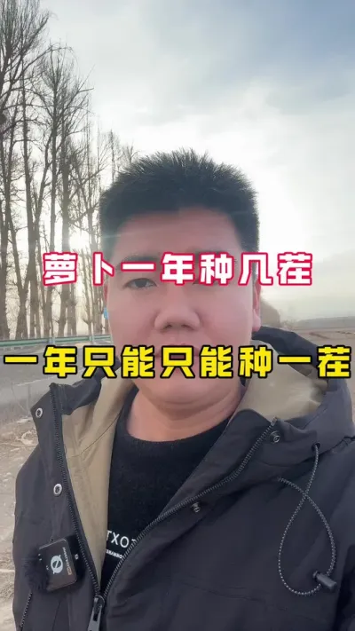 #青萝卜#蔬菜种植#新农人计划 #三农 #种菜
