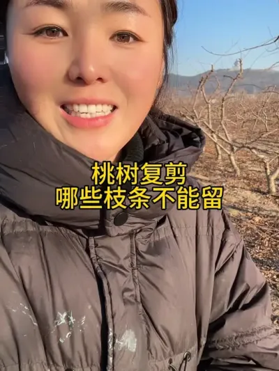 桃树修剪 #传播农业小知识 #果树管理技术 #分享农业知识帮农民增产增收 #农业种植 #自家果园