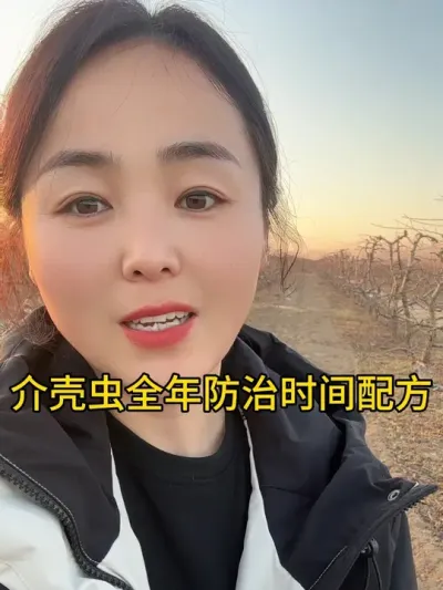 防治介壳虫 #自家果园 #防治虫害 #新农人 #服务三农支持三农 #分享农业知识帮农民增产增收