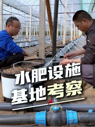 最近不断有客户考察我们的水肥一体化设备，不管是从基地的设计还是设备的选材，我们都是专业的#水肥一体化#全自动水肥#蓝莓基地#精准滴灌