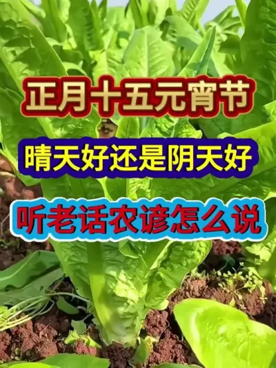 正月十五元宵节是晴天好还是阴天好听老话农谚怎么说 #元宵节#元宵 #农业种植 #农业谚语 #三农