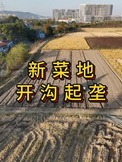 新菜地开荒第9集，开沟起垄 