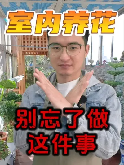 冬天室内养花，别忘了做这件事! #养花 #除虫 #养花生虫