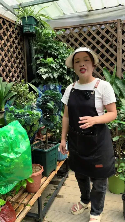 你有没有发现，有很多花卉，买回家时，枝繁叶茂花苞满枝头，养了一段时间，花苞打不开， 甚至干枯脱落，你知道是怎么回事吗？#花卉绿植 #分享养花经验 #种植小技巧