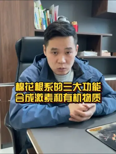 棉花根系的第三个功能&mdash;&mdash;合成激素和有机物质 #棉花种植专家讲座 #关注我每天分享农业植保知识 #每天分享种植农业小知识 @抖音小助手