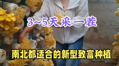 农村种植&lsquo;黄金菇&rsquo;火了！种100平半年赚5万，技术简单到离谱 #抖音助农 #三农 #新农业 #农村致富好项目 #科普一下