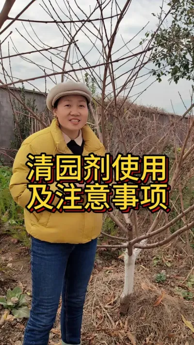 打石硫合剂的注意事项 用得好，你明年春天基本上不会有病虫害#清园 #病虫害防治 #我的小菜园 #果园管理 #果树清园