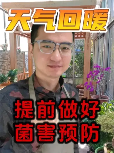 天气回暖，养花要提前做好病害预防！#养花 #花卉绿植 #病虫害防治