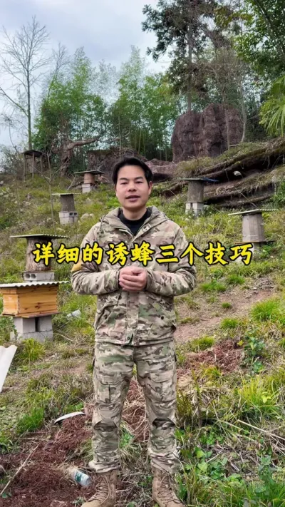 春季诱蜂季马上来临，详细的诱蜂三个技巧这条视频有详细讲解#养蜂 #诱蜂 #养蜂技术 @抖音小助手