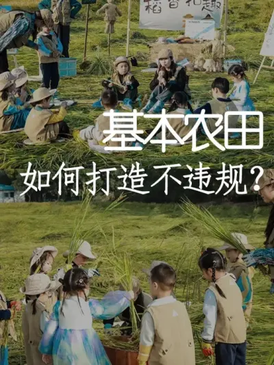 基本农田如何打造不违规？ #小院改造 #氛围感 #天雅设计 #干货分享 #农场日记