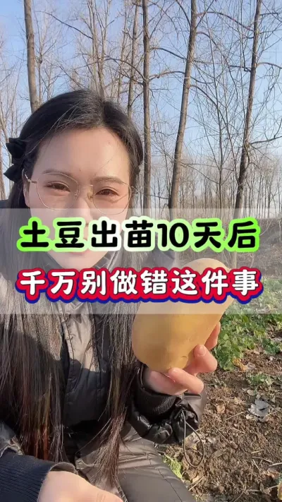 土豆出苗10天后千万别做错这件事#马铃薯 #土豆种植 #土豆 #土豆高产种植 #洋芋