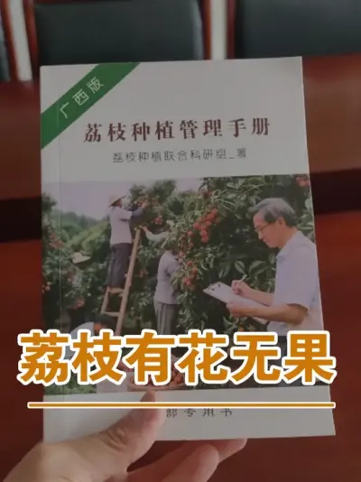 有时候荔枝花开满树也意味着接下来无果#广西灵山荔枝果苗#农业创业#抖音新农人计划2025#吕老师种果苗#荔枝种植管理技术@吕老师