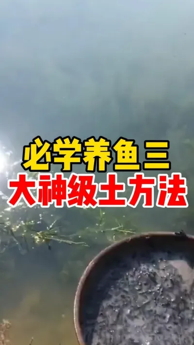 必学养鱼三大神级土方法 #养鱼 #养鱼人#养鱼日记 #养鱼养心 #养鱼技术分享  @抖加🔥上热门🔥dou+🔥热点宝  @DOU+小助手 