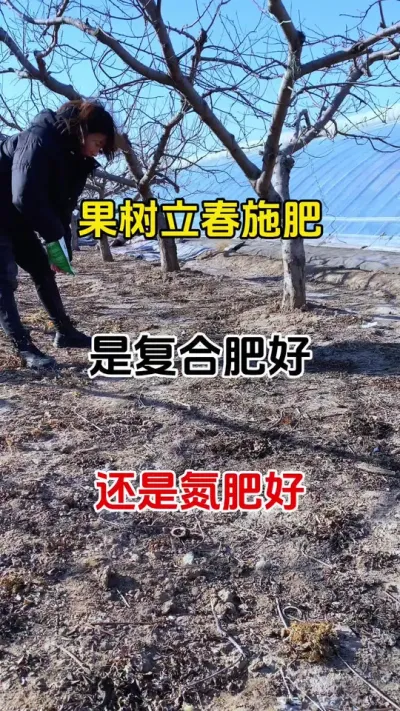 立春后果树第一遍肥，最喜欢什么肥你知道吗？#三农种植 #每天分享种植农业小知识 #肥料新知识