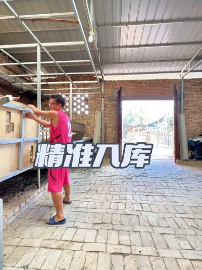 羊智商高总能给人惊喜 #返乡创业新农人 #农村养羊 #新农人计划2025 #萨能奶山羊
