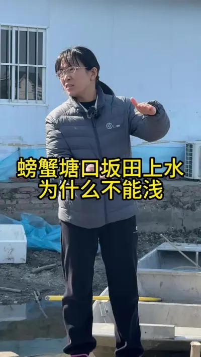 螃蟹塘口坂田上水为什么不能浅！！！ #渔多多养殖模式 #大闸蟹养殖 #三农 #水产养殖 #河蟹养殖