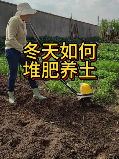 冬天如何堆肥养土 学会这个技巧，你的菜园的土会越用越多，越用越肥#堆肥 #我的小菜园 #土壤改良 #em堆肥菌 #种植小技巧