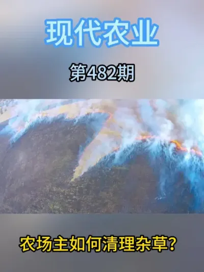 农场主如何清理杂草？ #抖音助农 #农业种植 #杂草 #清理杂草 #三农服务